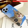 Cute Kitten Licking Sky Background Phone Case All Inclusive Film Hard Phone Case, Compatible with iPhone 18 Pro Max 17 16 15 14 13 12 11