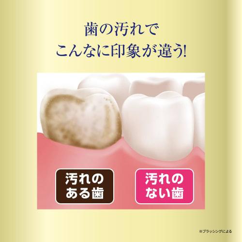 Medicated Eggshell White Premium Toothpaste, 80g, Prevents Gum Disease, Bad Breath, and Cavities, Herbal Mint Flavor, Made In Japan, Kagayaku Cosmetic