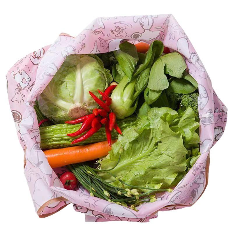 Foldable Eco-friendly Lightweight Large Capacity Shopping Bag
