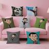 Funny Mr B BeanS Decorative Room Aesthetics Pillow Case Home Decor Bedroom Sofa Bed Couch Pillow Cover 45x45