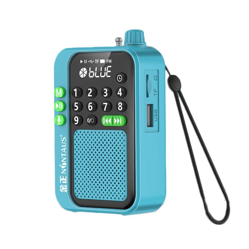 5W Portable FM Radio Wireless Bluetooth Speaker TF Card U Disk Music MP3 Player