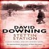 Stettin Station by David Downing Paperback Book 9781906964603
