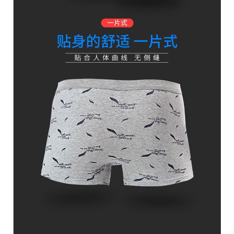 Printed Cotton Mens 3d Boxer Briefs