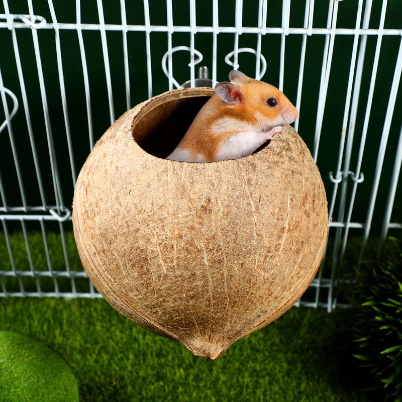 Papagei Kokosnussschale Nest Haustier Vogelnest Hamster Eichhörnchen Zuchtnest Kanarienvogel Lerchenhaus Hängendes Ornament Für Garten Hof Haustierbedarf