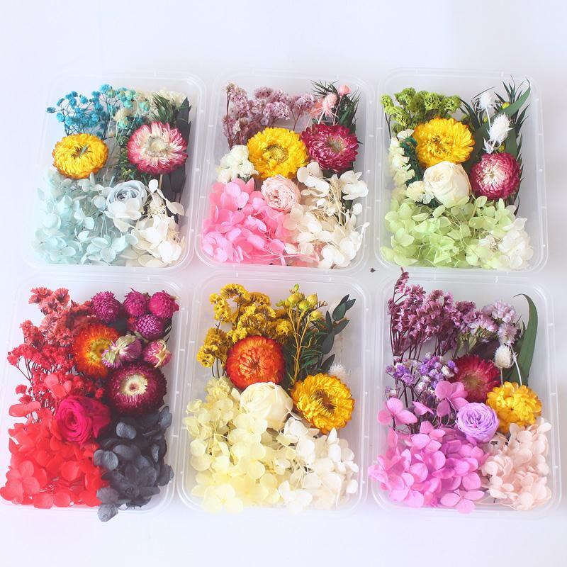 Kit DIY Fleur Éternelle: Cadre photo de fleurs séchées, éventail rond, bouteille flottante, composition florale réelle pour la décoration du salon ou de la maternelle.