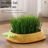 Seed Sprouting Trays Planting Hydroponics Boxes Soilless Hydroponic Cat Grass Case  Pet Supplies