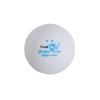 Double Fish V40+ Two-Star Table Tennis Balls