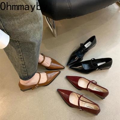 Stil retro, toc gros, pantofi Mary Jane pentru femei