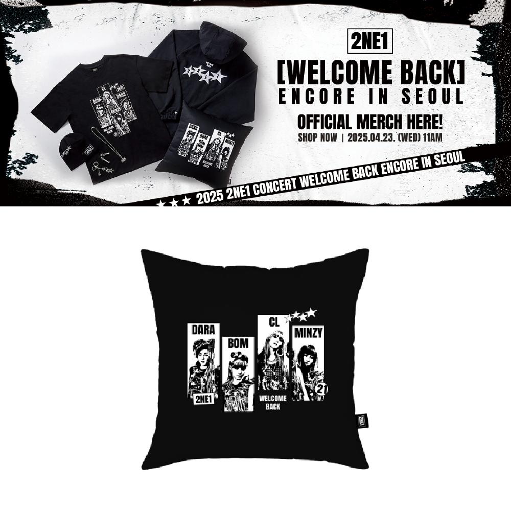 

2025 2NE1 Concert WELCOME BACK Encore in SEOUL Photo Cushion