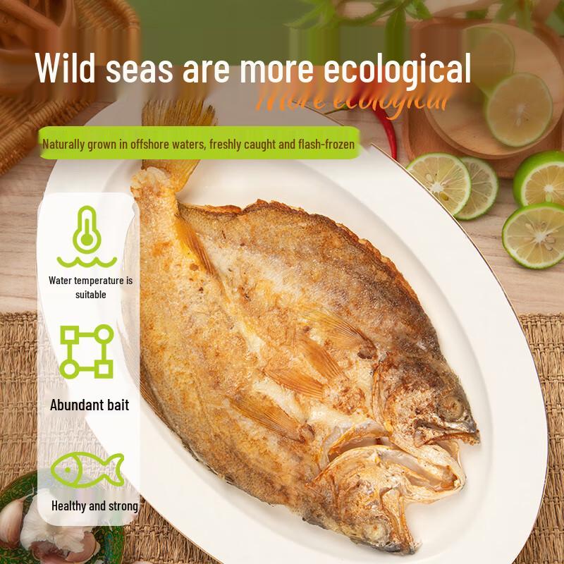 Sandu Port Yellow Croaker Seafood