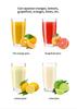 110V Hand-Press Electric Juicer: Stainless Steel Lemon & Fresh Fruit Juice Separator