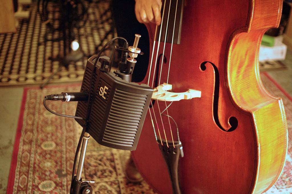sE Electronics guitaRF Acoustic Treatment Device for Musical Instruments []