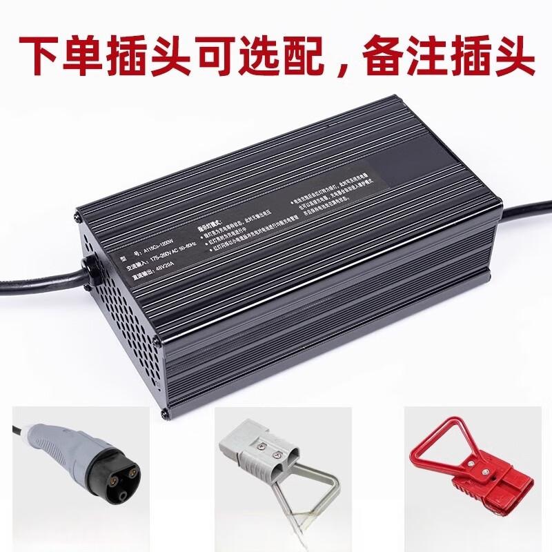 Industrial Electric Vehicle Battery Charger 1