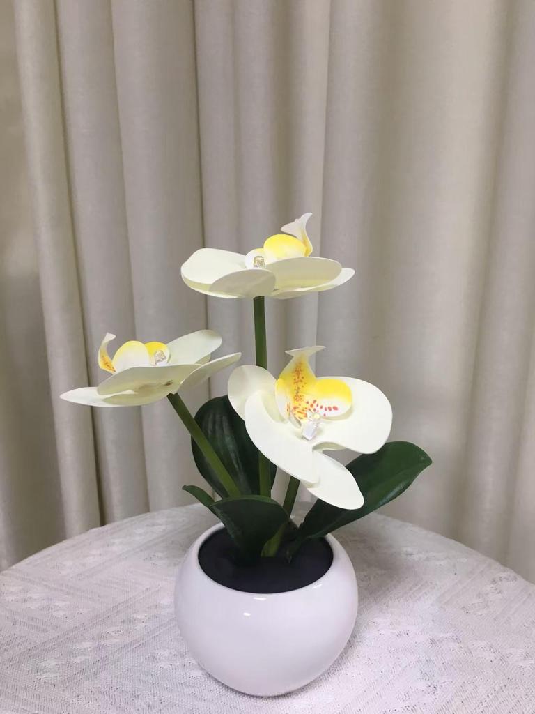 Elegant Tulip Night Light: High-End Decorative Bedside Lamp for Bedroom Ambiance
