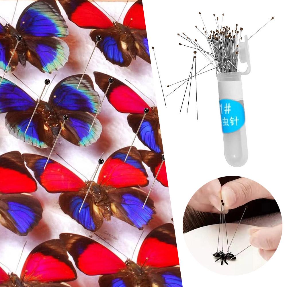 100pcs Stainless Steel Specimen Pins Insect Pins  For School Lab Education Entomology Body Dissection Positioning Insect Needle