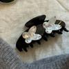 Headwear Butterfly Hair Claw Rhinestone Large Shark Clip Fashion Acetate Hair Crab Clip  Streetwear