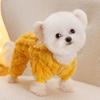 Fall and winter dog clothes warm flannel four-legged traction teddy bear small dog pet clothing