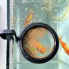 with Clip Aquarium Feeding Ring Circle Fish Feeders New Floating Fish Food Feeder Ring  Aquarium