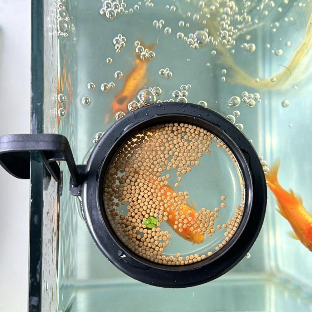 with Clip Aquarium Feeding Ring Circle Fish Feeders New Floating Fish Food Feeder Ring Aquarium