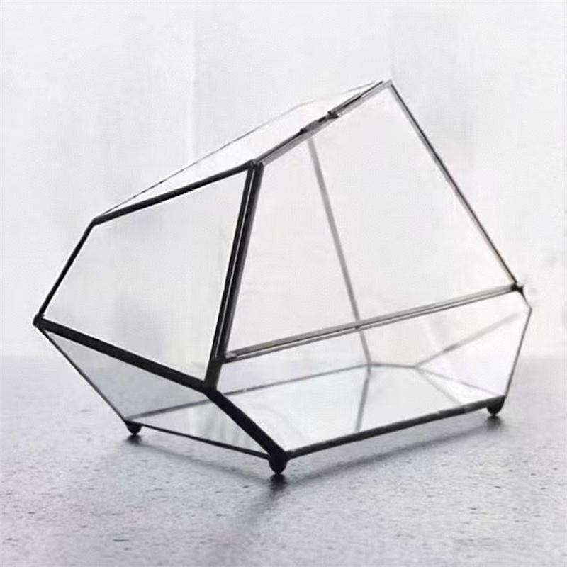 Micro Rainforest Landscape Ecological Geometric Glass Terrarium Tabletop Moss Fern Plant Glass Vase Container Table Greenhouse