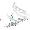 BMW 525/530/535 E60LCI Front Bumper Grille Trim Accessory