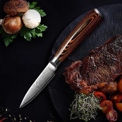 3.5 Inch VG10 Damascus Knife Paring Knife 67 Layers Damascus Steel Kitchen Fruit Knife