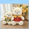 Expectation Plush Teddy Bear With Soft Pp Cotton For Kids Gift And Cuddle