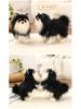 Creative Cute Black Pomeranian & Chihuahua Plush Toy Animal Ornament