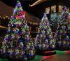 Niedervolt LED Weihnachtsbaumlichter - Stern Wasserfall Hängend