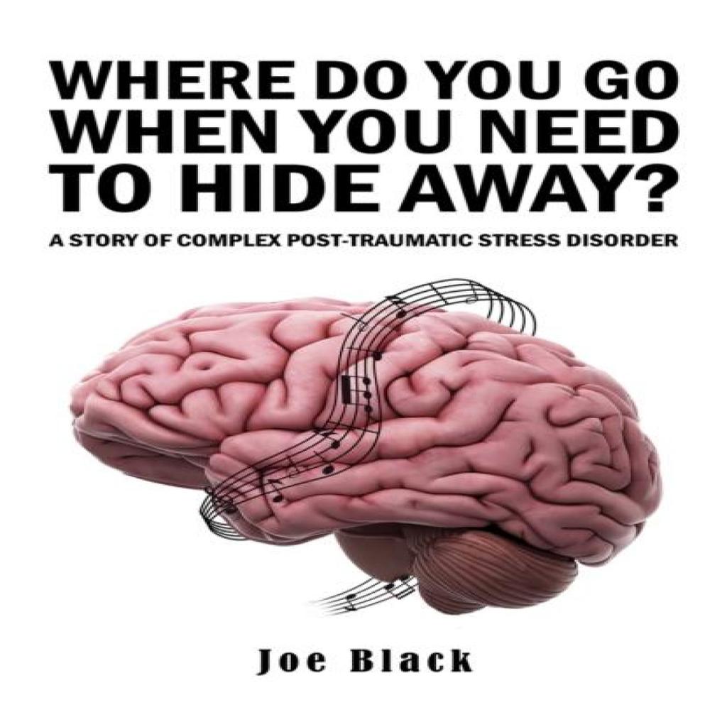Where Do You Go When You Need to Hide Away by Joe Black Paperback Book 9781035886302