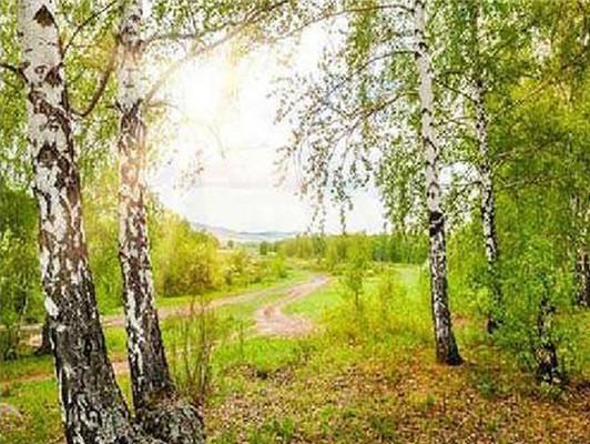 5D DIY diamantová malba Krajina Mozaika Křížkový steh Krajina Diamantové vyšívání Domácí dekorace Řemesla