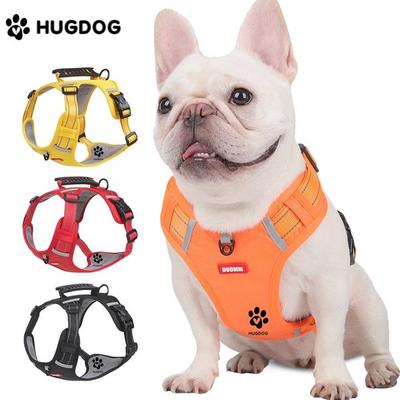 Köpek – Köpek Tasmaları ve Tasma Kayışları