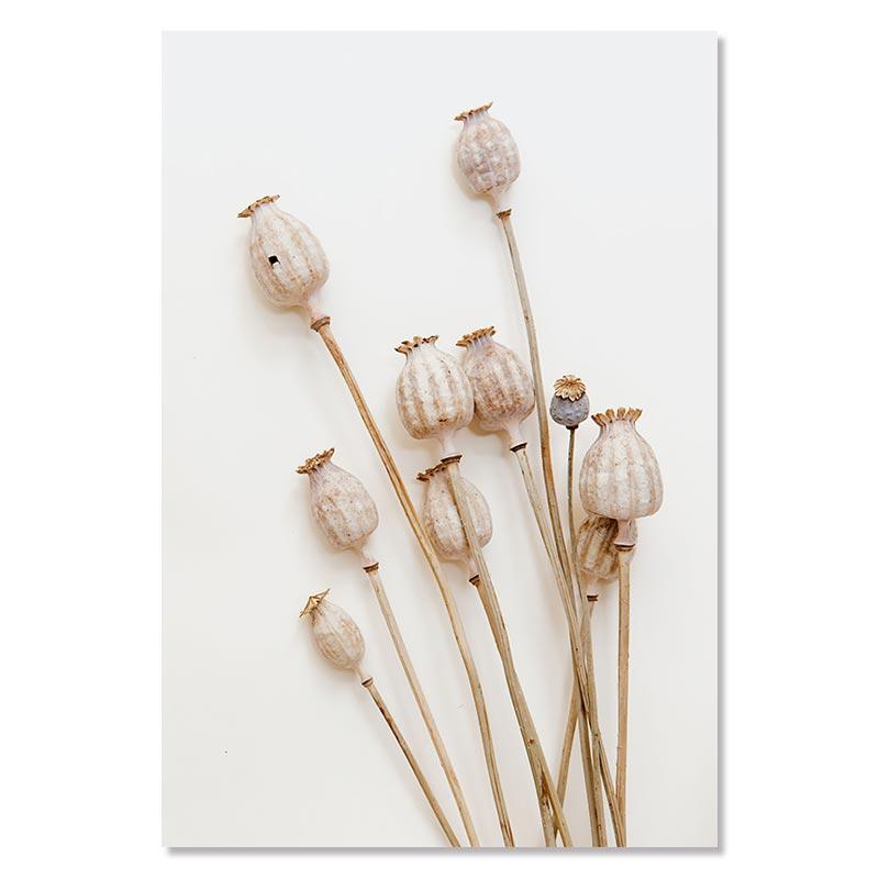 

Бежевый пампасный холст, постер, ракушка, тростниковый лист, современные настенные художественные принты, сухоцветы, печать, фотографии, скандинавские постеры, декор для гостиной 21x30cm No Framed