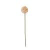 Hill Interiors The Natural Garden Collection Allium Artificial Flower