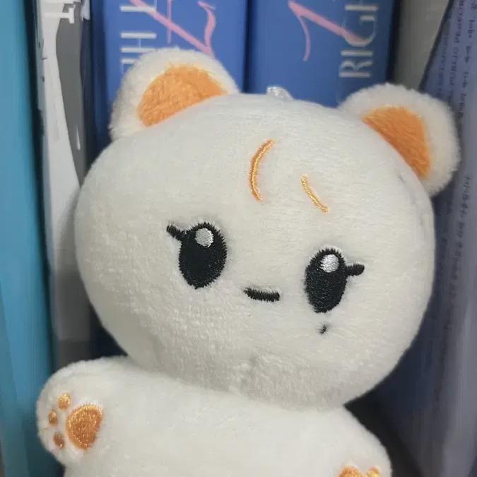 

Seventeen Seungkwan Doll Tangerine Boubear