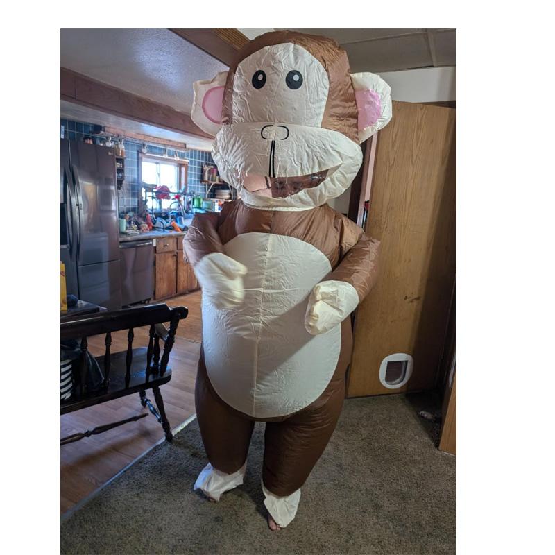 Pink-eared Monkey Inflatable Costume, for Adults
