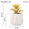 Small, Wavy Cup-Shaped Simulated Succulent Plant Potted Plant, Nordic Office Furniture Fresh Decoration