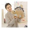 Cute Plush Dinosaur Doll Tyrannosaurus Figure
