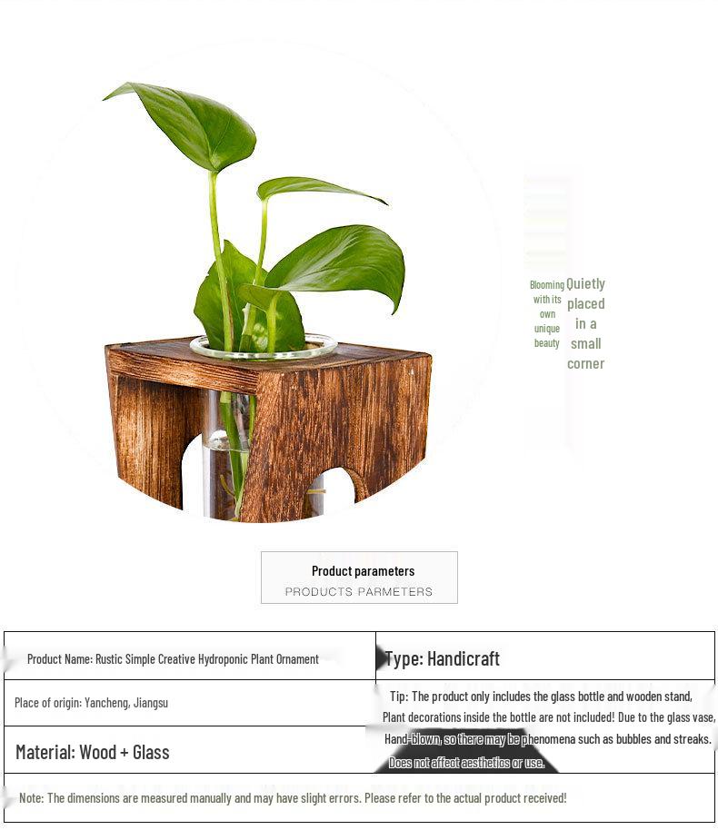 Hydroponic Test Tube Glass Vase: Creative 3D Ornament for Living Room Flower Arrangements - Simple Desktop Decoration