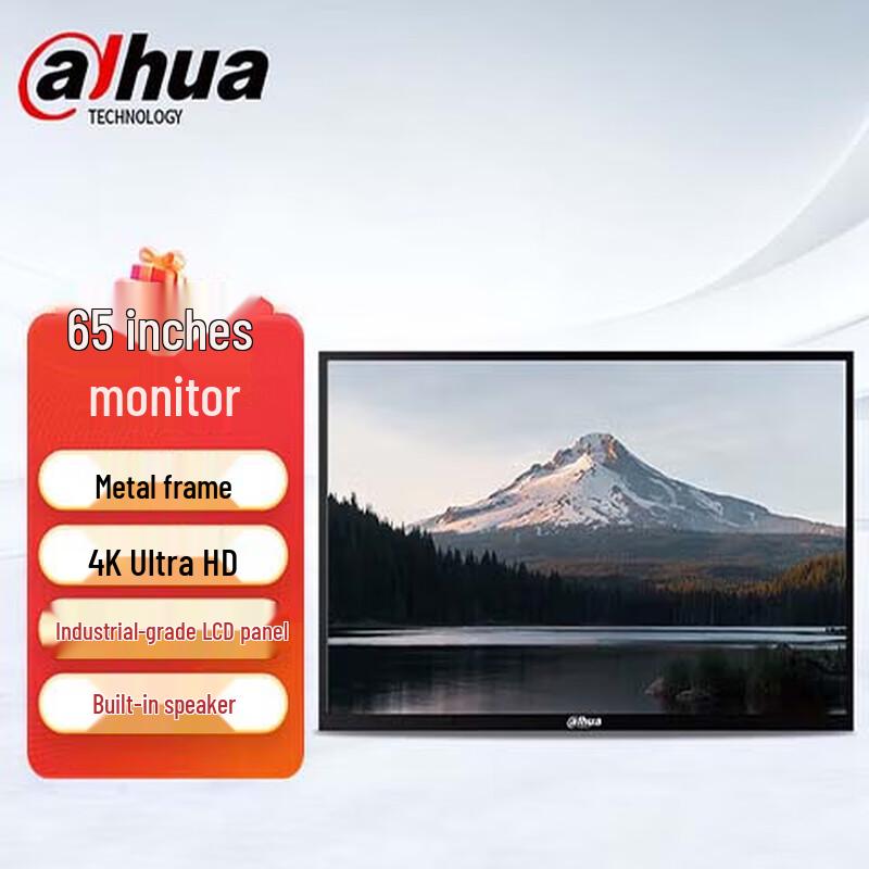 Dahua Security Monitoring Display CN plug (adapter included)