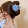 Fresh wind acrylic mesh flower hairpin women's fashion exquisite grab clip high sense versatile hair accessories