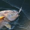 Lifelike Action Bait Metal Spoon Jig Sinking Fishing Lure Fast Sinking Design