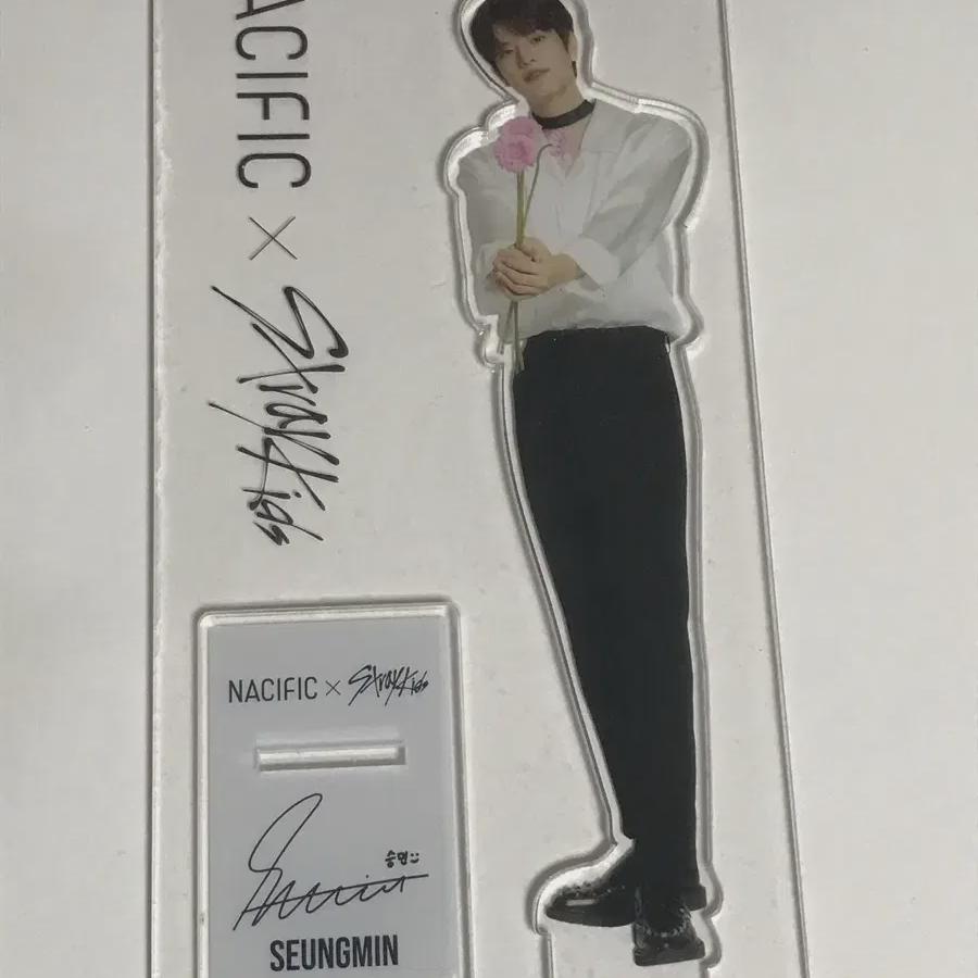 

Straykids Сынмин Акриловая подставка Nacific