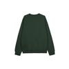 Nike Men Solo Swoosh Hoodie Green DX1362-323