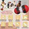 Jouet interactif pour Chien Distributeur de croquettes, Balle Interactive Chien, Jouet Intelligent, Jouet Chien Indestructible