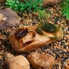 3 PZ/6 PZ Esca da Pesca Morbida Realistica 3D a Forma di Granchio - Antialga per Acqua Salata/Dolce per Persico Spigola, Cernia, Sgombro - Azione di Nuoto Lento e Laterale