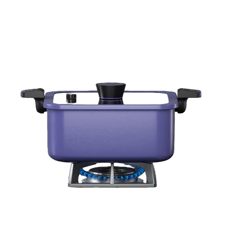 BURNEL BNL-GB223 Multicooker