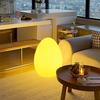 Nordic Egg-Shaped Table & Floor Lamp: Luxury Smart Lighting for Bedroom and Living Room