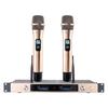 Wireless Dual Microphone Kit: KTV Singing, U Band Receiver, Infrared Frequency, Karaoke Home, Headset & Lavalier.
