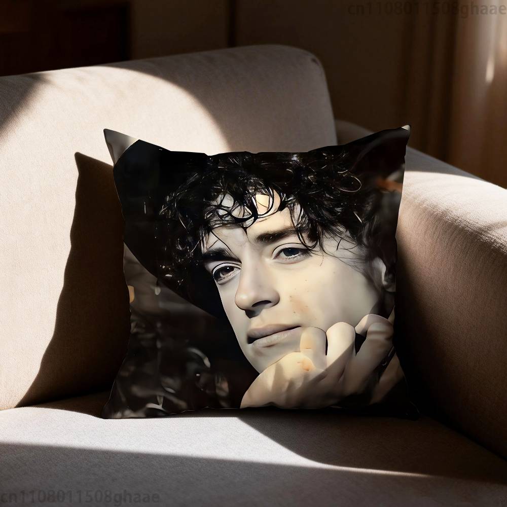 GGustavo Cerati pillow cover living room sofa cushion cover bedroom room bed pillow cover home decoration